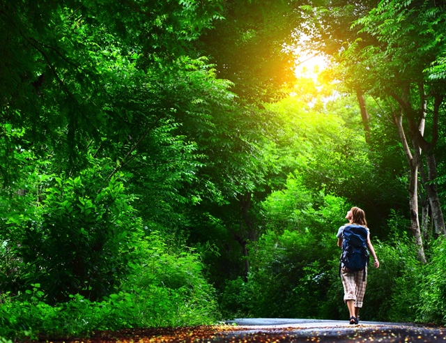 A photo of a person hiking in a forest. Spending time outdoors can encourage positive thinking.
