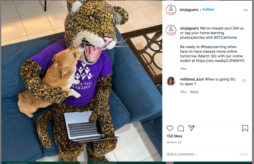 In this year's holiday sing-a-long, we present a jaguar and his pet doggo.

In March, @stcjaguars posted on Instagram.
We've missed you! DM us or tag your home learning photos with #STCatHome

Be ready to #KeepLearning when face-to-face classes move online tomorrow (March 30) with our online toolkit. https://stc.media/2J5WMYO