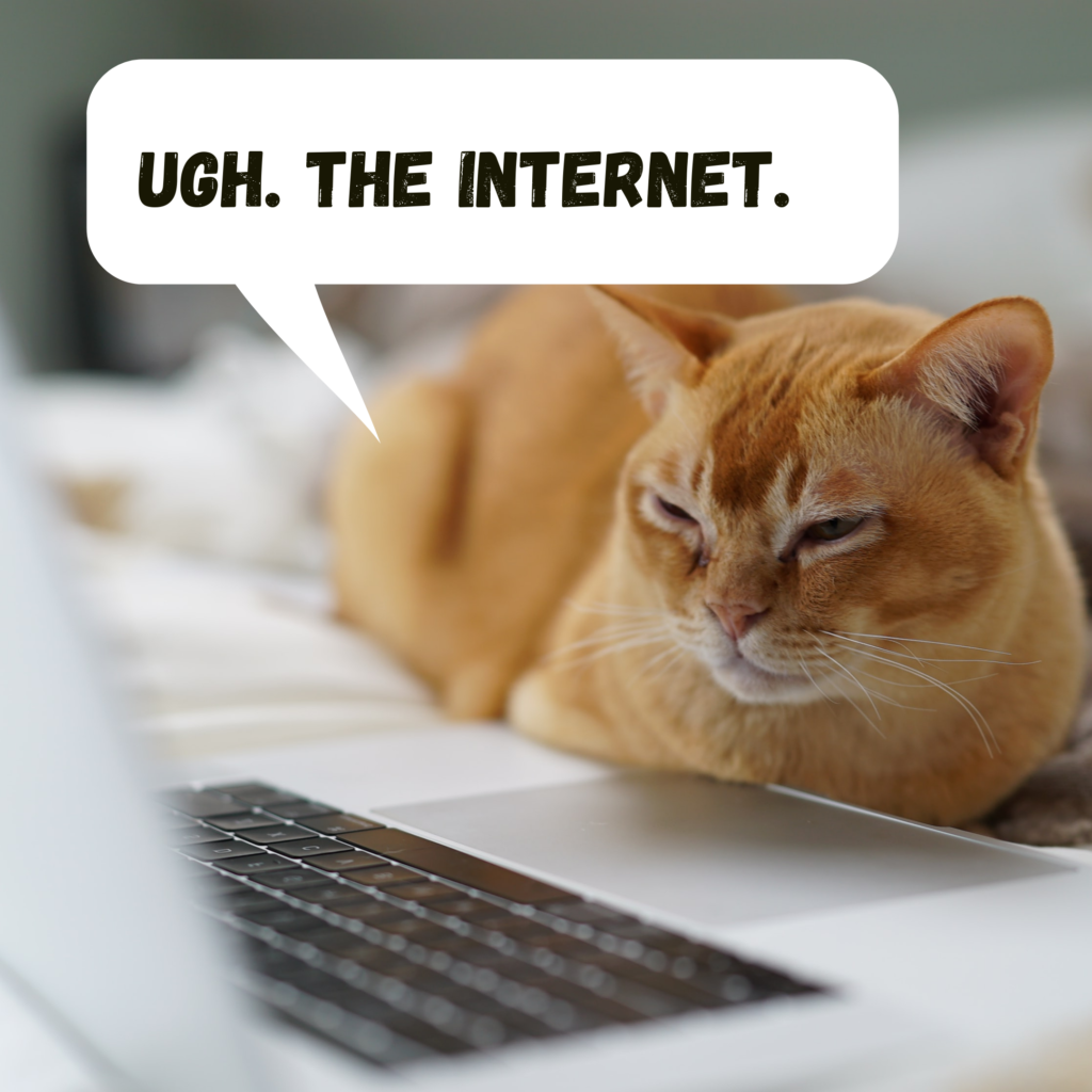 A cat giving a grumpy look to a computer. The text bubble says, "Ugh. The internet."