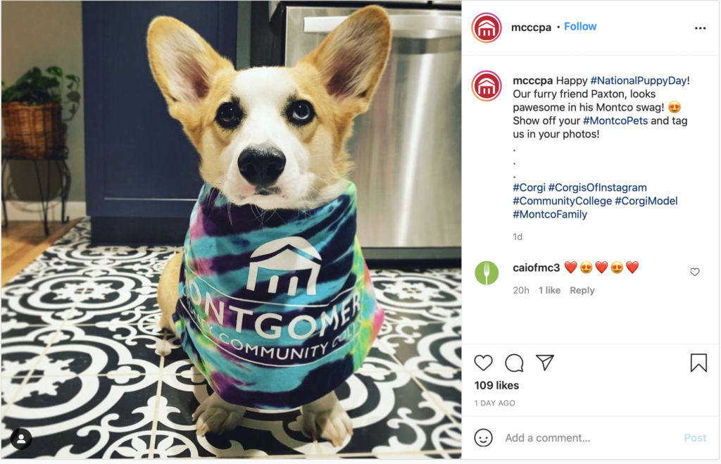 
mcccpa posts on Instagram.

Happy #NationalPuppyDay! Our furry friend Paxton, looks pawesome in his Montco swag! ???? Show off your #MontcoPets and tag us in your photos!⠀
.⠀
.⠀
.⠀
#Corgi #CorgisOfInstagram #CommunityCollege #CorgiModel #MontcoFamily